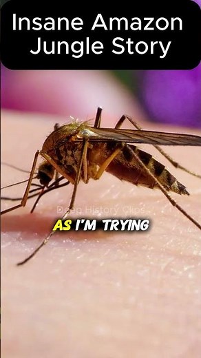 SCARY Amazon Jungle Story 🌴