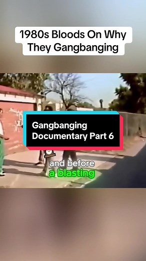 Understanding the 1980s Bloods Gang Culture