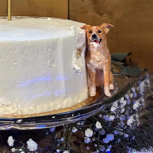 Custom Dog Wedding Cake Topper: Polymer Clay Pet Sculpture - Etsy