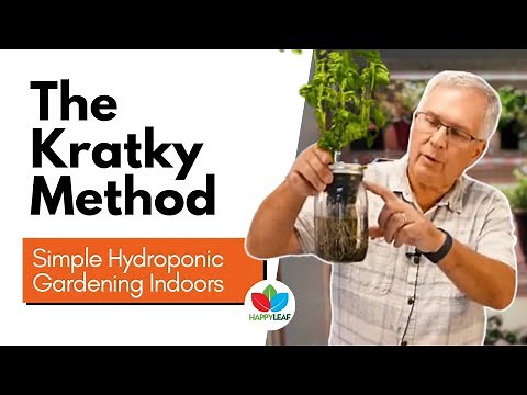 Simple Hydroponic Gardening Indoors with LED Grow Lights: The Kratky Method for Herbs & Greens