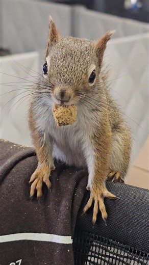 117K views · 3.6K reactions | This week has been rough and Grace the...