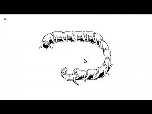 PLUG AND PLAY FULL WALKTHROUGH PC 60FPS