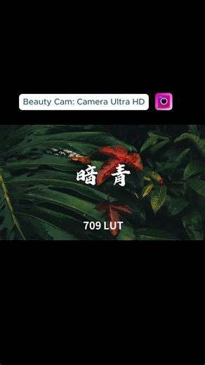 An easy HD camera app for photos, videos, and basic editing.
