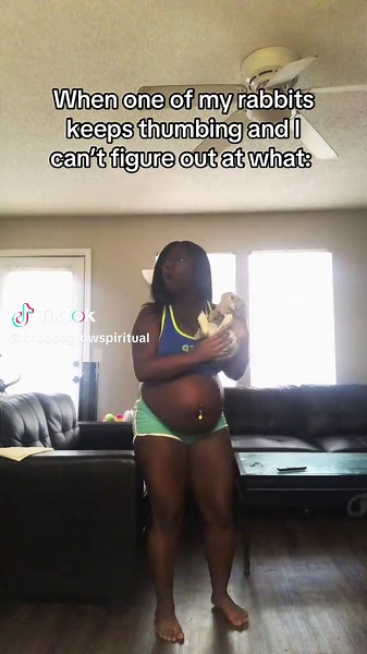 Rebuke the Negativity: A Rabbit's Thump Explained