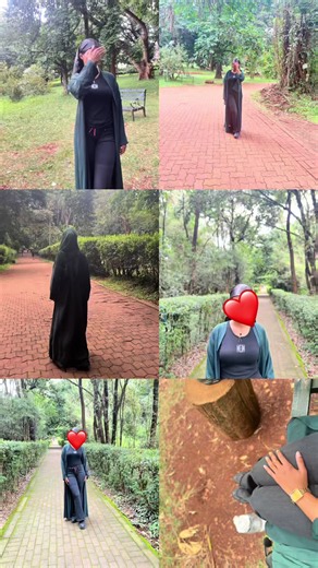 Nairobi Arboretum forest walk: peaceful greenery in Nairobi