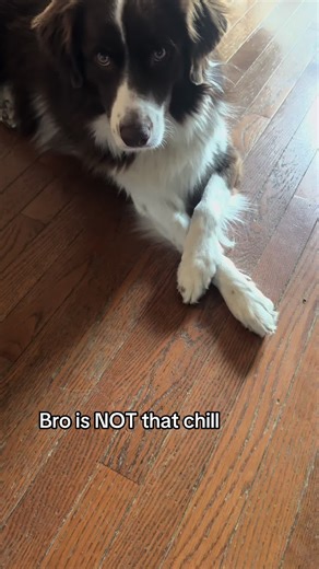 Uncross yo damn legs . Skinwalker | skinwalker