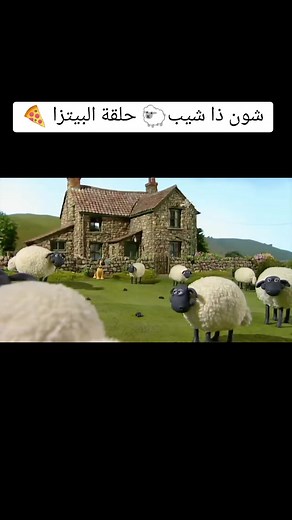حلقة البيتزا شون ذا شيب: متعة الكرتون المبهجة