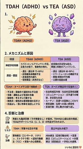 【ADHD vs ASD】似ているようで全く違う「発達障害」の真実｜不注意・衝動性とこだわり・感覚過敏のメカニズムを徹底解説