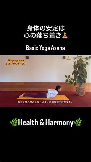 東京ヨーガセンター on Instagram: "ヨーガのポーズは、ポーズではなく、"アーサナ/Asana" 本来は瞑想の姿勢をアーサナといいます。 これは鍛錬用のアーサナで、瞑想の姿勢への準備ともなります。 身体の安定は、 心の落ち着き。 身体・呼吸・心を整える。 心身の調和🍀 ✳️Bhujungasana（コブラのポーズ） ✳️Dhanurasana（弓のポーズ） これらの後屈は、 背骨を柔軟に、腹部の圧力を加えて消化力向上、呼吸機能を向上させます⭐️ シンプルな技法で姿勢を整え、呼吸を落ち着け、心を集中させていきましょう🧘‍♀️ #ヨガ #呼吸 #瞑想 #四谷ヨガ #心身"