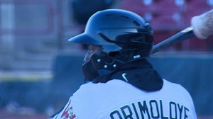 Timber Rattlers fall to Snapper in home opener