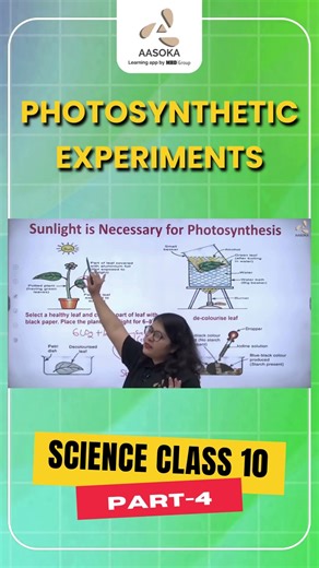 Life Processes: Photosynthetic Experiments | Part-4 | Science Class 10 | NCERT | CBSE 2025 | AASOKA