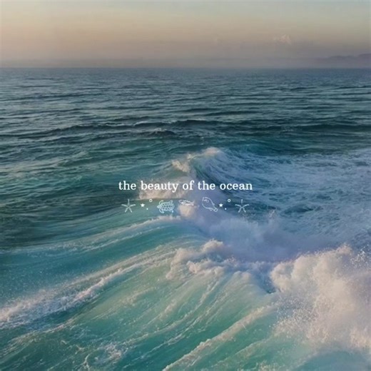 Exploring the Beauty of Ocean and Beach Aesthetics