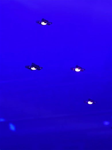 FYLO MINI — Unlimited Endurance