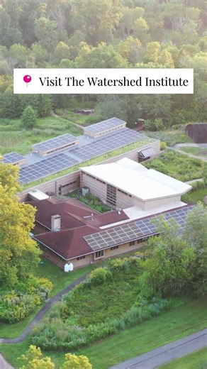 Visit The Watershed Institute in Pennington, NJ - for free! 💧🌳 Explore the Butterfly House, Tree Frog Trail, and Wargo Pond. While you're here, discover our Watershed Center featuring native gardens, live animal exhibits, and a gift shop! Check out our calendar for upcoming events! 🦋 https://bit.ly/eventsh2o 📍The Watershed Institute - 31 Titus Mill Road, Pennington, NJ #TheWatershedInstitute #Pennington #NewJersey #Trails #Boardwalk #ButterflyHouse #Pond | The Watershed Institute