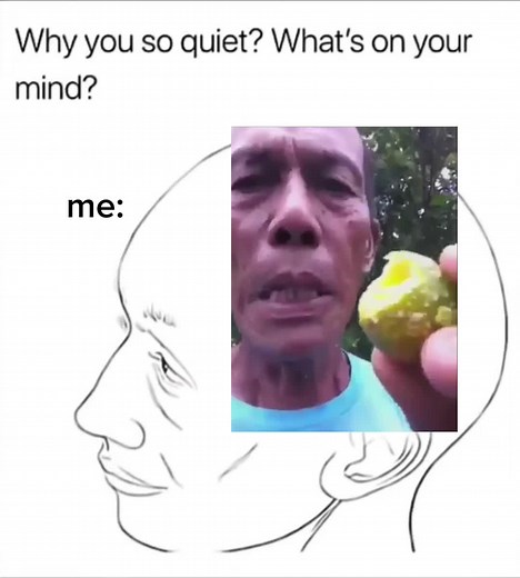 Hilarious Meme Compilation | Funny & Trending Videos