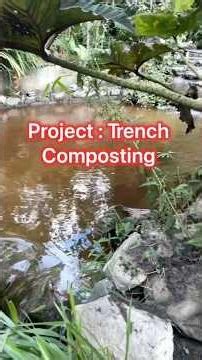The easiest and very effective way to trench compost green manure using worms!