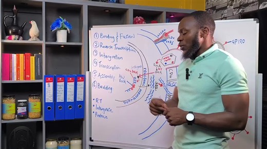 Understanding the Modes of Action of ARV Drugs