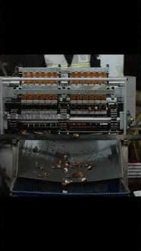 Cashew Shelling Machine in Action | Clean Cuts, Faster Output, Real Results #CashewShellingMachine