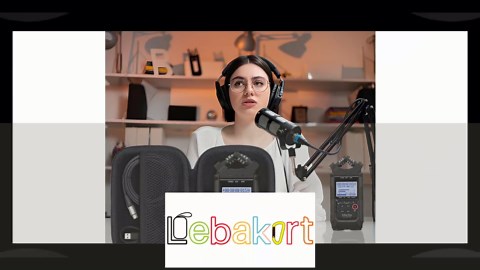 Storage Case Compatible with Zoom H4n Pro 4-Track Portable Recorder