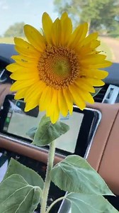 Jill Wagner on Reels