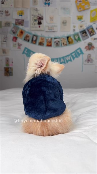 O is for the only one I see 🥰 My pout fit of the day is a fuzzy deep blue sweater with a colourful bow tie accessory 😉 A bit of rizz for a chilly day 😆 I think this is a very casually stylish enable for current weather 🥶 It might be cold outside but it’s all warm in my heart 🥰 I’m starting to get into a Valentine’s day mood with this classic love song playing 😉 As you might notice, I’m continuing with my outfit of the day series 👏 Let me know what you think of today’s outfit and I’ll take