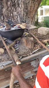 190K views · 3.5K reactions | Vine a playa Najayo donde Luis chola a probar la famosa chola ' (829) 351-4383 ' La Chola es una herencia de los indígenas que habitaron la isla. Es preparada con almidón comestible de la planta “guáyiga” un tubérculo parecido a la yautia y se le raya coco también, se envuelve en hojas de almendras o de uvas de.playa y se lleva al caldero fuego arriba y abajo, | Cosas De La República Dominicana. | Facebook