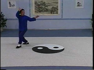 VTC 10 Bagua Dragon Bagua Animal Forms Preview www.WLE.com