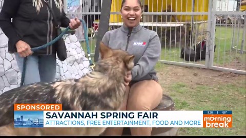 Savannah Spring Fair brings excitement to South Georgia State Fairgrounds