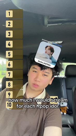 How Much I Would Scream for Each Kpop Idol | Stray Kids