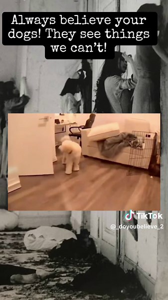 These are so creepy!! #doyoubelieve #blowthisup #horror #explore #fyp