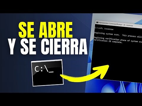 ✅ CMD Opens and Closes by Itself in Windows: Ultimate Solution to the Black Flashing Window!