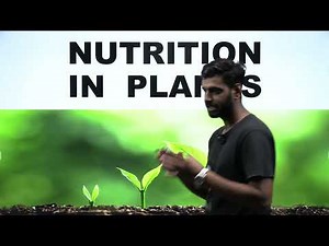 Class 7 Science Chapter 1 (Nutrition in Plants) | NCERT