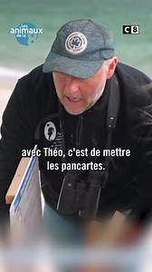 15K views · 206 reactions | Les oeufs des gravelots sont détruits par les humains et les chiens sur les plages Bretonnes ! Des ornithologues les protège pour préserver cette espèce en disparition ... Découvrez-la dans le dernier épisode des #AnimauxDeLa8 ! L'émission est à revoir en intégralité sur myCANAL -> https://can.al/4qwk | Les animaux de la 8 | Facebook