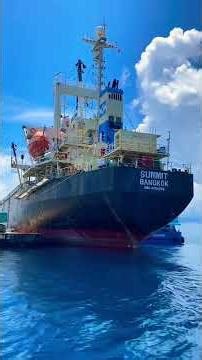 How Cargo is Unloaded at Sea | Amazing Offshore Operation #ofshore #seacargo #seatransport #shiplife