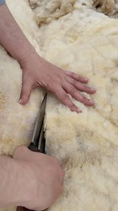 From fleece to fabric! 🐑✂️ Sheep sheering season has arrived at Colonial Williamsburg, marking the beginning of a historic craft tradition. Did you know? After the wool is carefully shorn and skirted, it’s sent to our historic weavers where they transform these tangled masses of wool, as well as flax and cotton, into precise fabrics. This can range from simple linens for shirts and shifts to blankets, towels, dyed wool for needlework, and stout woolens for military uniforms. | Colonial Williams