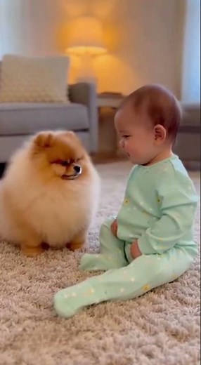 Baby Hugging Fluffy Pomeranian Puppy – Cutest Heartwarming Moment in 4K