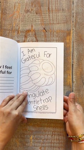 Coloring book for shell lovers 🐚 #coloringcommunity