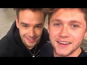 Niall Horan & Liam Payne Have Small One Direction REUNION