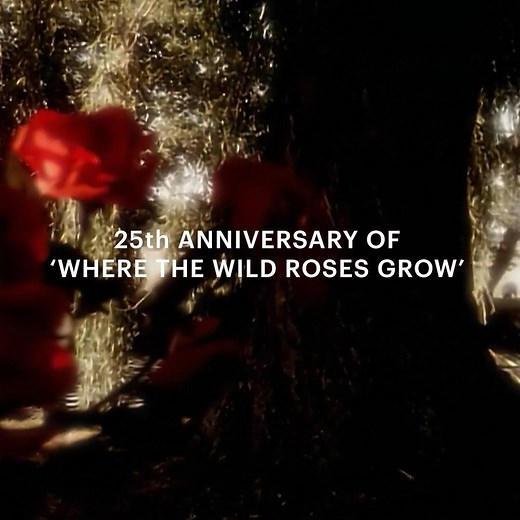 93K views · 6.7K reactions | Today marks 25 years since the release of Where The Wild Roses Grow featuring Kylie Minogue! Watch the upgraded HD video on YouTube now: youtube.com/watch?v=lDpnjE1LUvE | Nick Cave & The Bad Seeds | Facebook