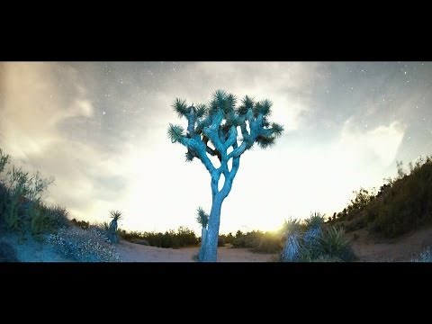 Mili din Barbulesti - Apa-i schimbat-o in vin [Official video]