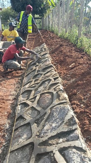 360K views · 2.2K reactions | One step at a time | Carnations Landscapes Kenya | Facebook