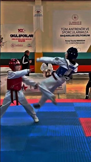 Unleash the Power of Taekwondo: Kicks That Knockout! 💥