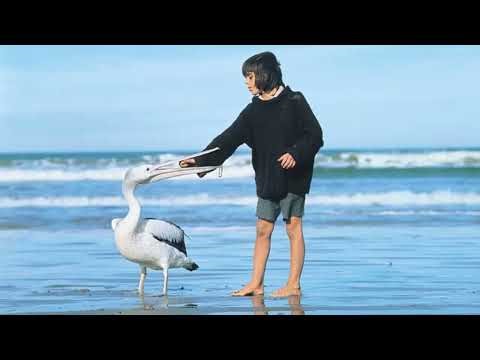 Storm Boy. Outtakes. Noarlunga Beach. South Australia. 1976. Greg Rowe.