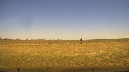 30K views · 272 reactions | Law enforcement in mid-Missouri teamed up to stop a chase on Interstate 70 on Wednesday. (And one deputy earned a new nickname.) See more pictures: https://krcgtv.com/news/local/callaway-montgomery-county-deputies-chase-driver-on-i-70-catch-him-after-foot-chase | KRCG 13 | Facebook