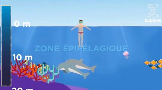 185K views · 1.3K reactions | Quelle est la profondeur de l'océan ? | Explore Science | Facebook