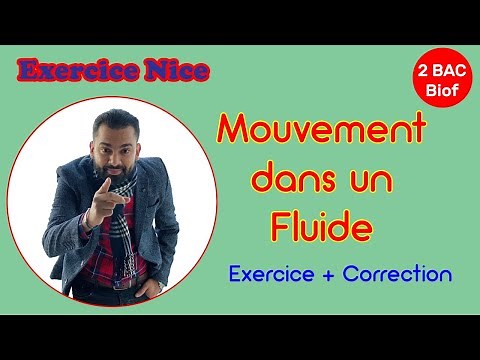 2BAC Biof - Mouvement d'un Solide dans un Fluide (Exercice + Correction) - Prof Noureddine