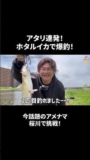 Introducing the currently trending American catfish fishing! Easy to prepare & lots of bites – so...