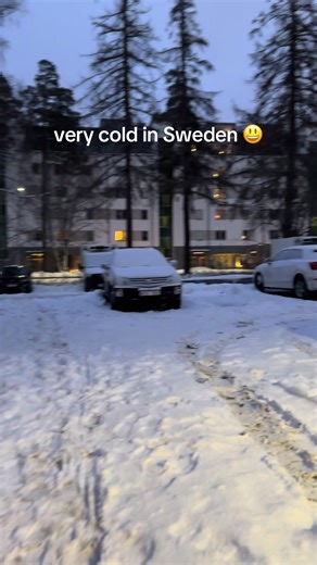 Experiencing a Mild Winter in Sweden