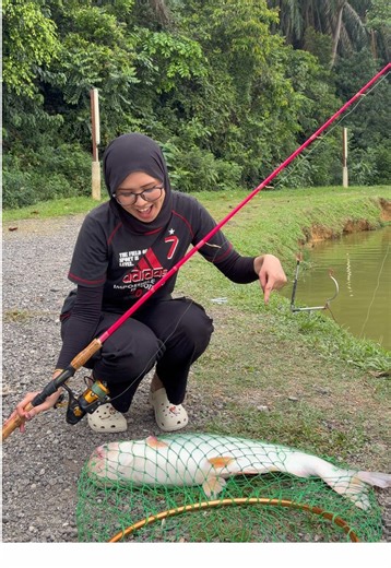 Ikan Bilis: Memancing dengan Kekuatan Tarikan