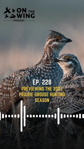 2.5K views · 32 reactions | On The Wing Podcast Ep. 228: Previewing...